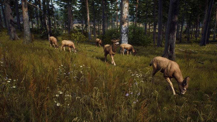 Immagine prodotto THQ Via del cacciatore (PS5, IT, FR, EN)