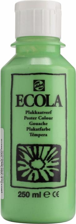 Image du produit Talens Ecola (Vert clair, 250 ml)