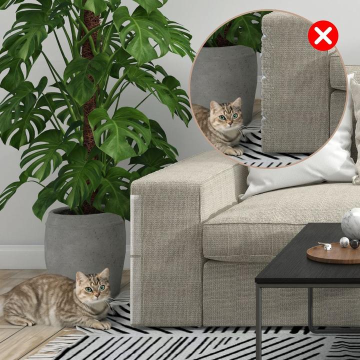 Actual product image Hermex Scratch protection Scratch-stop anti-scratch film Cat furniture protector Wall protection (Cat)