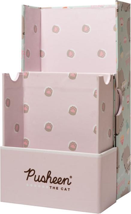 Actual product image Pusheen Rose pencil case