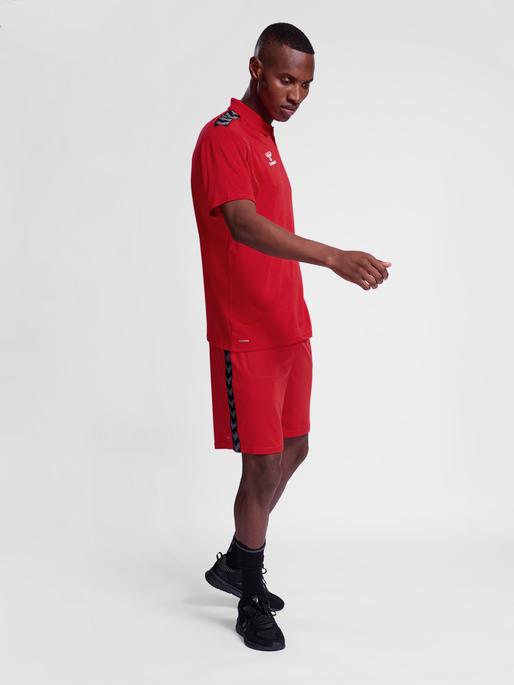 Actual product image hummel Hmlauthentic Functional Polo (L)