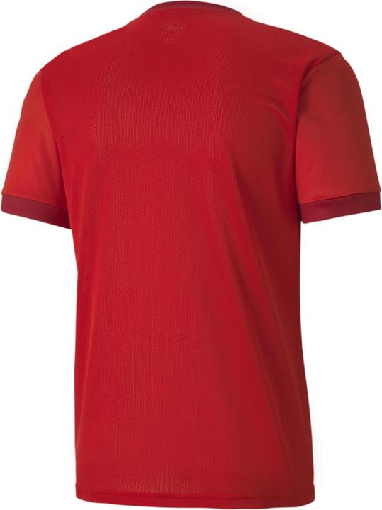 Actual product image Puma teamGOAL 23 Jersey-704171 (L)