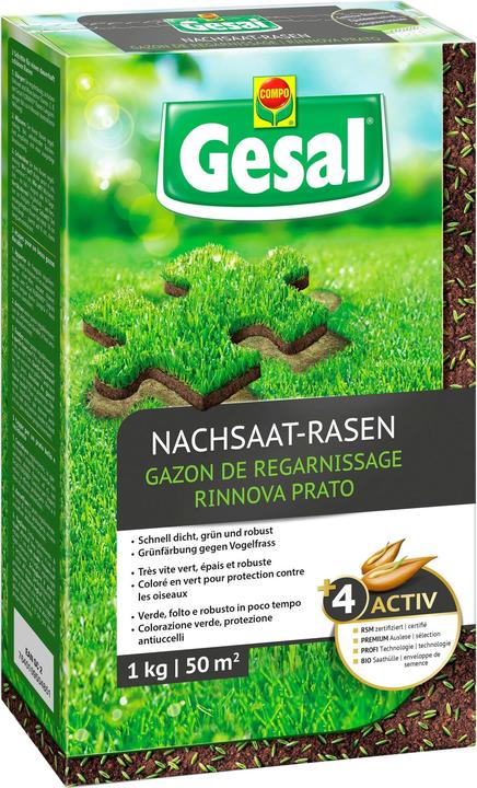 Gesal Nachsaat-Rasen (Rasensamen)