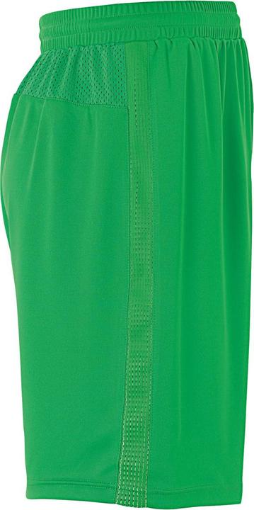 Actual product image Uhlsport Performance Shorts (L)