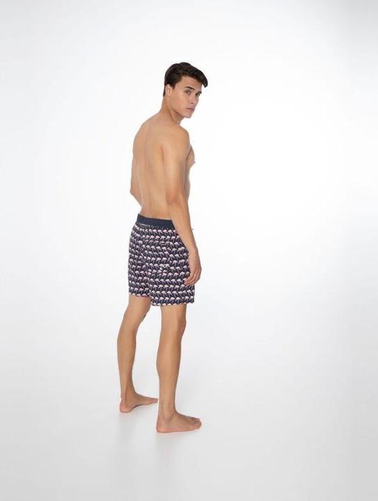 Actual product image Protest Men's Beach Shorts PRTOHLANDER Night SkyBlue S (S)
