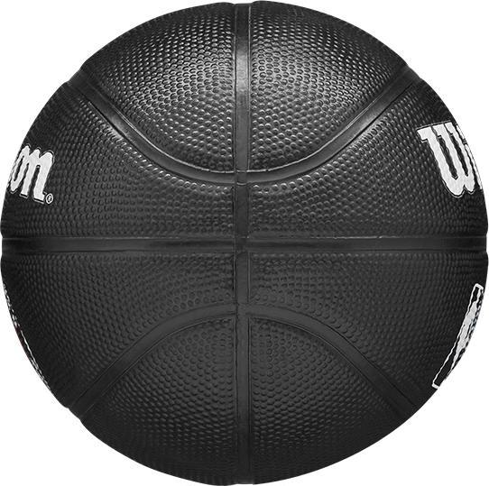 Actual product image Wilson Nba Team Tribute Mini Goal Raptors (3)