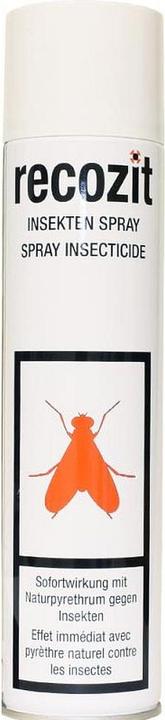 Produktbild Recozit Insekten Pyrethrum Spray (400 ml)
