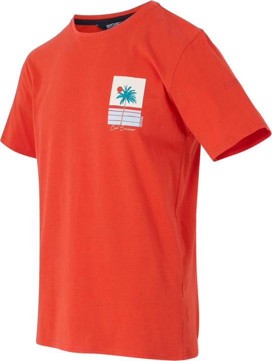 Immagine prodotto Regatta Cline IX Cool Summer Maglietta Uomo (4XL)