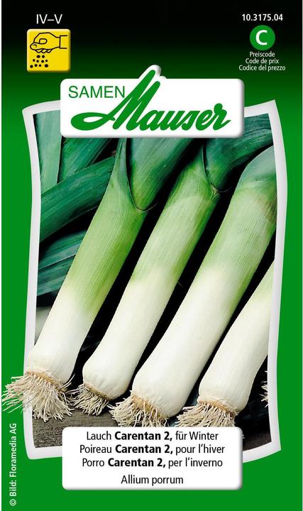 Actual product image Samen Mauser Leek Carentan 2 (Bulbous plant)