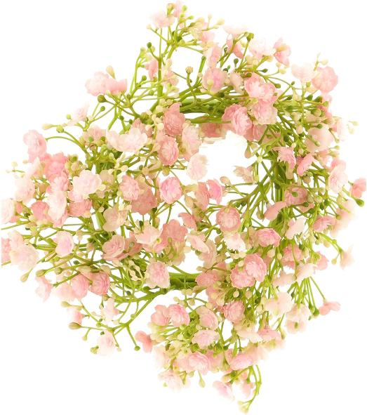 Produktbild Exner Garten und Wohnaccessoires Gypsophilia linz (1 x)