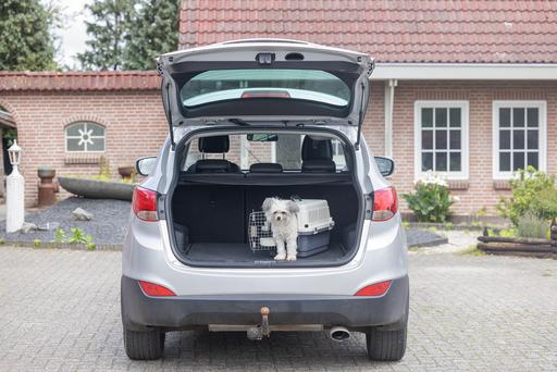 Actual product image Karlie Nomad (Cat, Dog, Lockable)
