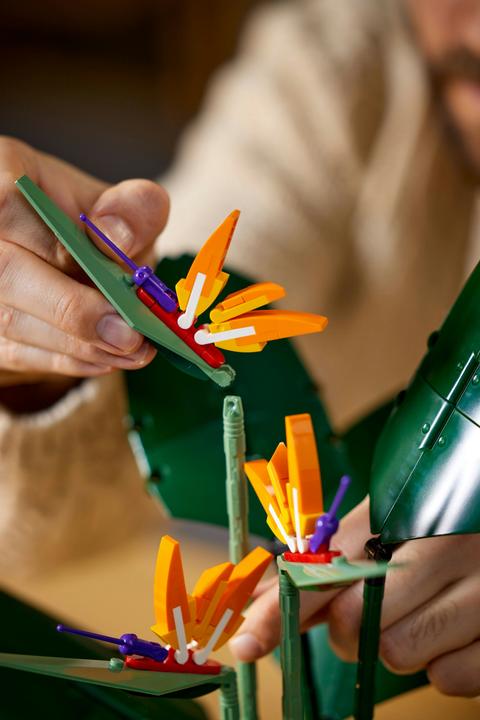 Image du produit LEGO Oiseau de Paradis (10289, LEGO difficiles à trouver)
