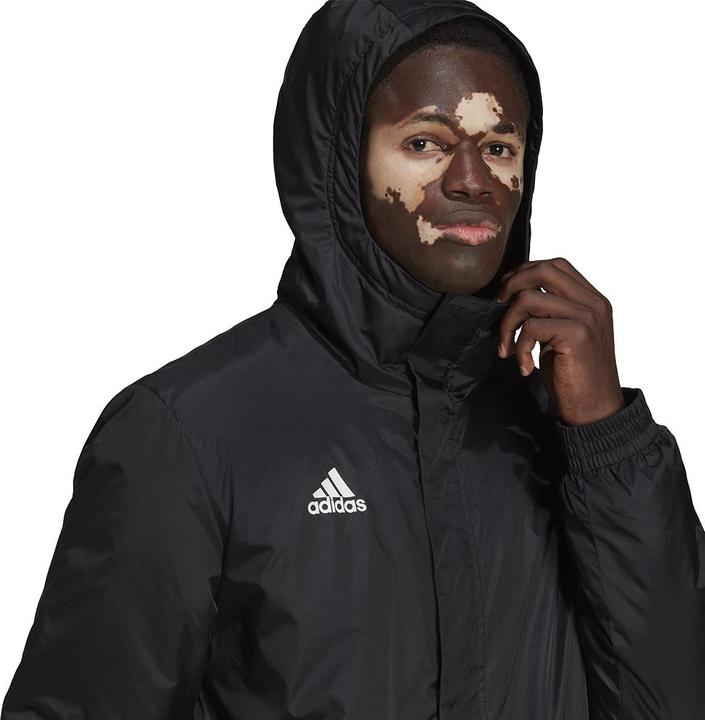 Actual product image adidas Entrada 22 stadium winter jacket men (M)