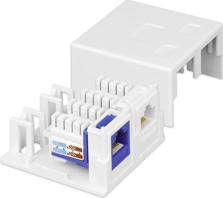 Actual product image Techly 2-Port Keystone Jack Surface Mount Box White