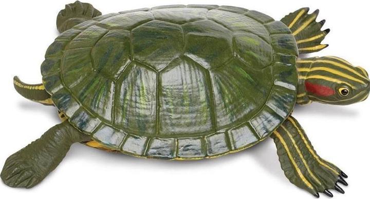 Produktbild Safari Rotwangen-Schmuckschildkröte