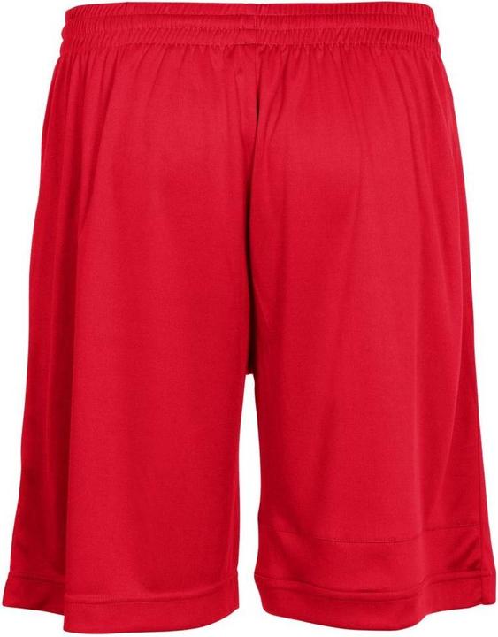 Actual product image Stanno Field Shorts (M)
