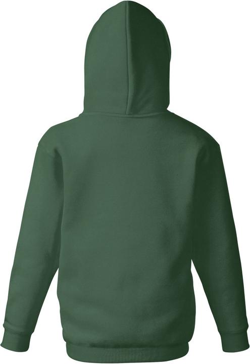 Image du produit Fruit of the Loom Veste à capuche (152)