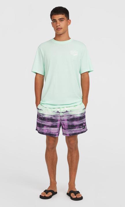 Actual product image O'Neill Cali Gradient 15" Swimshorts (S)