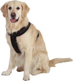 Actual product image Karlie Art Sportive Plus Harness Cross (Dog, Dog sport)