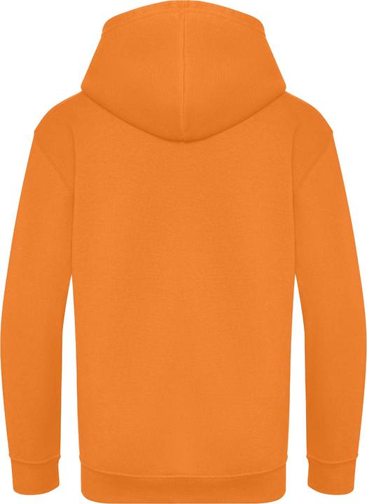 Immagine prodotto Awdis Felpa con Cappuccio Bambini (140, 146)