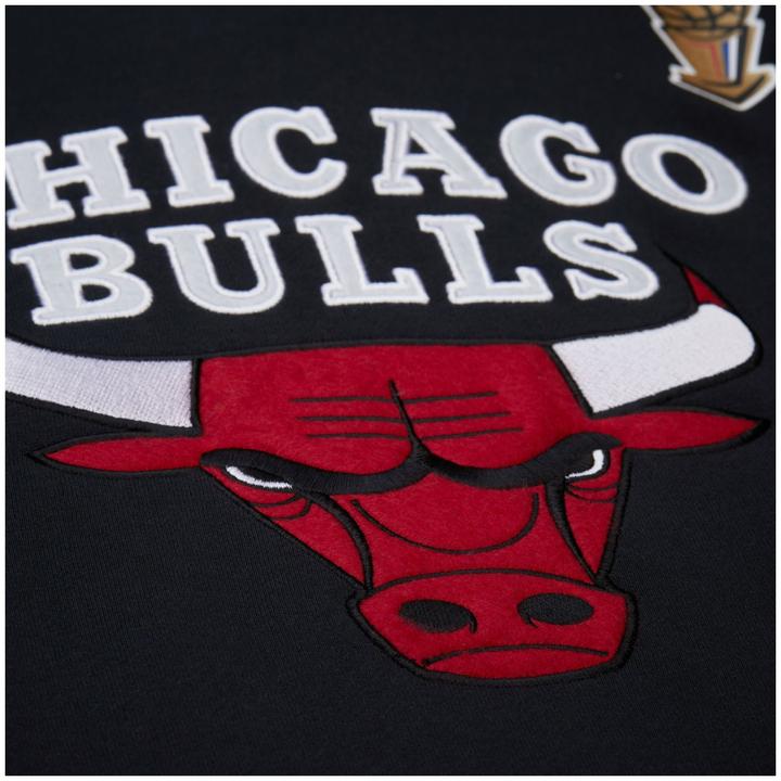 Actual product image Mitchell & Ness Fleece Hoody - ORIGINS Chicago Bulls - M (M)