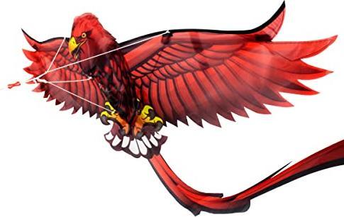 Produktbild Eolo Kites Ready 2 Fly - Pop-up-3D-Drachenpapagei