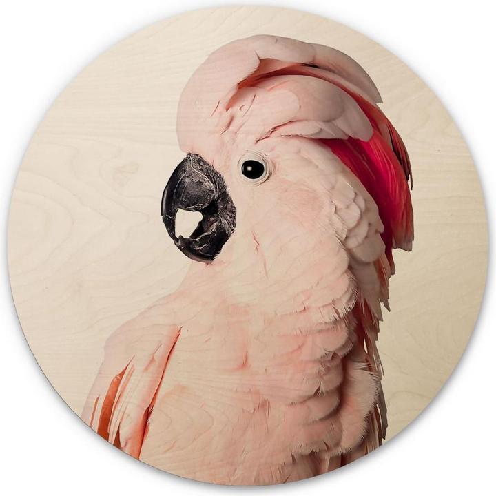 Image du produit Trenddeko Cacatoès rose (Ø 70 cm)