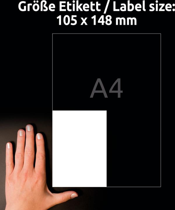 Image du produit Avery AVZ L8003-10 Étiquettes antimicrobiennes 105x148mm blanc