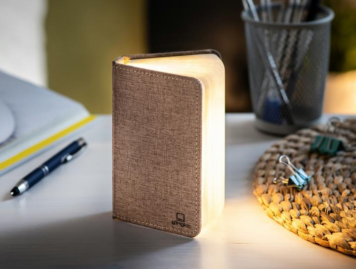 Gingko Mini Smart Book Light