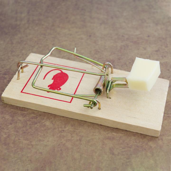 Actual product image Relaxdays 40x mousetrap