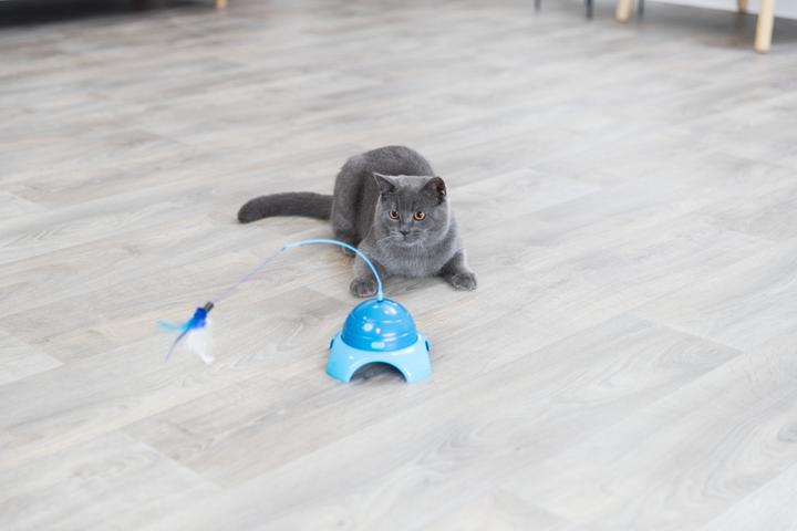 Produktbild Trixie Catch Me (Katzenminzespielzeug)
