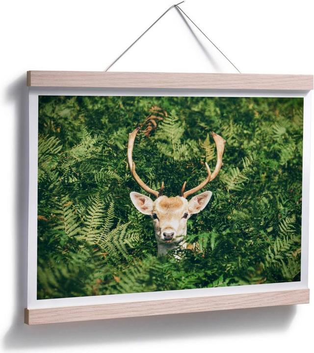 Actual product image Trenddeko Hide and seek in the forest (80 x 60 cm)