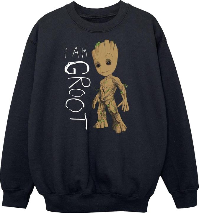Produktbild Guardians Of The Galaxy I Am Groot Scribbles Sweatshirt Jungen (152, 158)