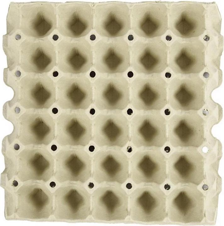 Actual product image Creativ Company Egg tray
