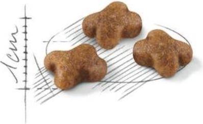 Immagine prodotto Royal Canin Gattino 36 (Junior, 1 pz., 400 g)