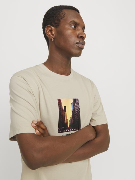 Produktbild Jack & Jones Jorvesterbro Picture Tee Ss Crew Neck Sn (L)