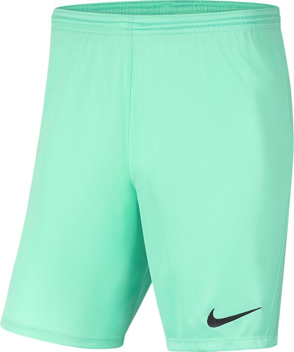 Nike Park Iii Short
