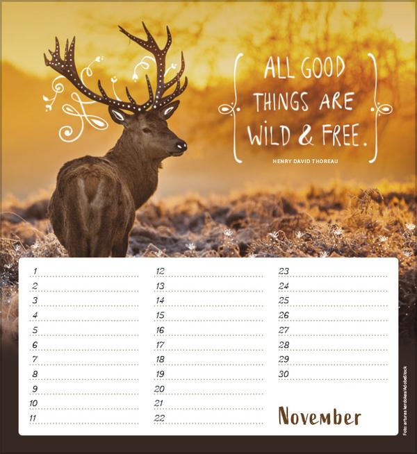 Immagine prodotto Calendario dei compleanni A piedi nudi nel cuore (Copertina rigida, Tedesco)