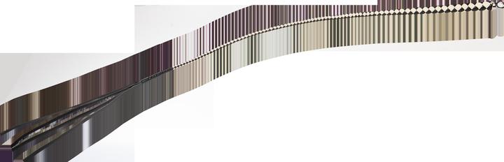 Produktbild Rise 120 cm Bullenpeitsche – Schwarz/Weiss