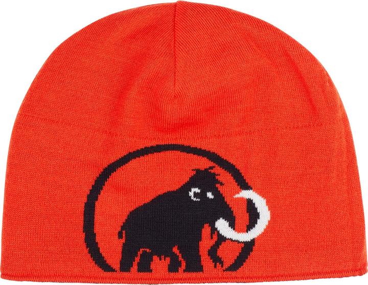 Actual product image Mammut Logo Beanie