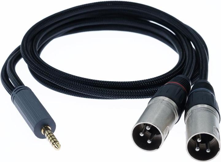 Image du produit iFi Audio Câble 4,4 mm vers XLR édition standard (1 m, XLR, 4.4mm (Bantam))