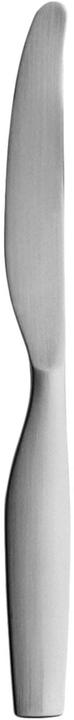 Iittala Citterio 98 Dessert knife (Knife)