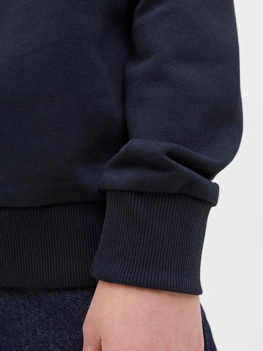 Actual product image Jack & Jones Logo Kapuzenpullover Junior Kapuzenpullover (164)