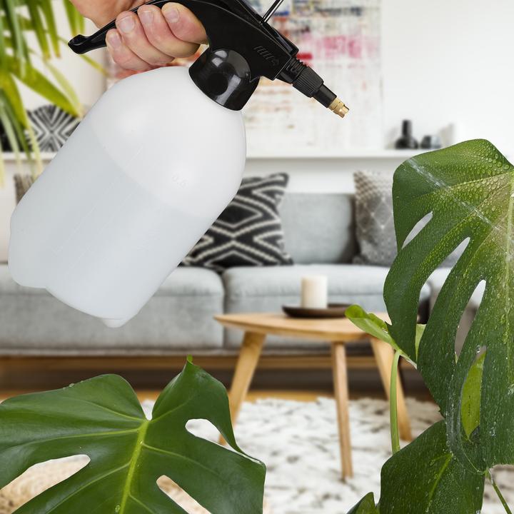 Actual product image Relaxdays pressure sprayers (2 l)