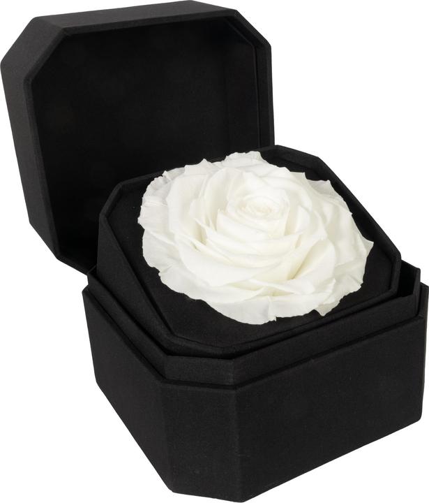weiss (schwarze Schachtel)