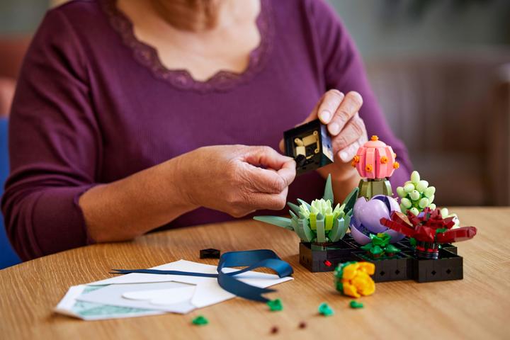 Immagine prodotto LEGO Succulente (10309, LEGO Botanical, Set LEGO rari)