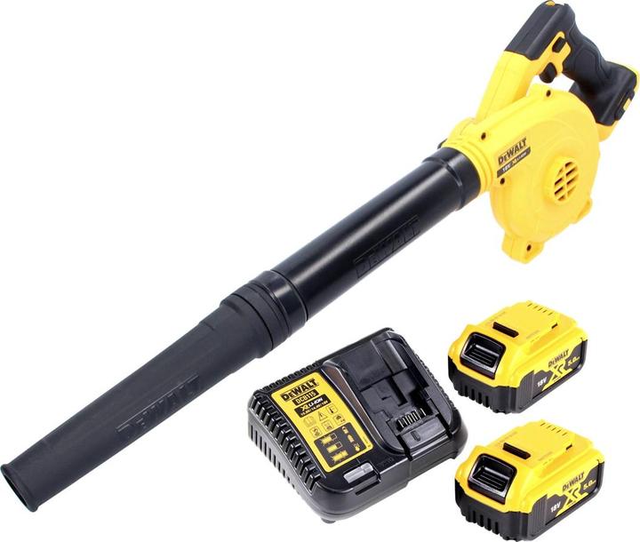 DeWalt DCV 100 P2 (Akkubetrieb, Laubbläser)