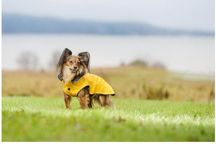 Image du produit Rukka Flux (45, Manteau pour chien)