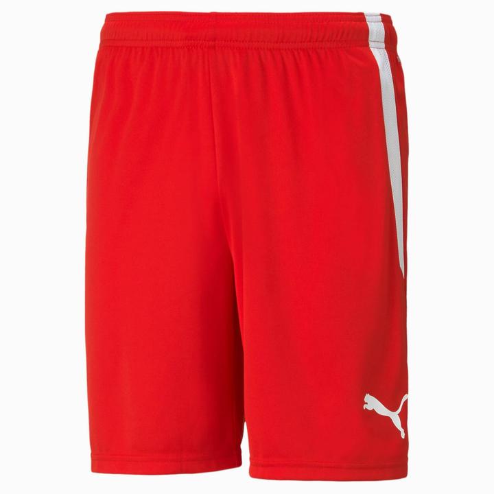 Produktbild Puma teamLIGA Shorts-704924 (S)