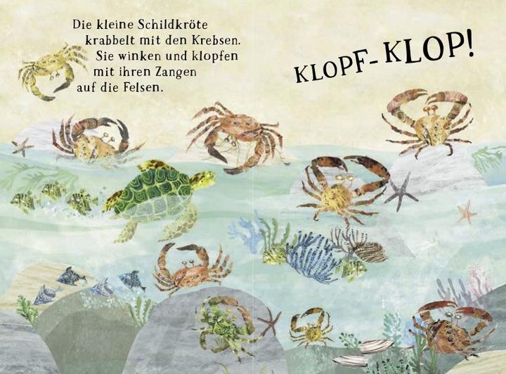 Produktbild Kleine Schildkrte und das blaue Meer (Deutsch, Yuval Zommer, 2025)